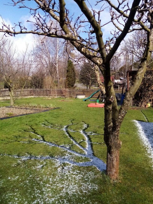 Amazing Photos For Perfectionists (48 pics)