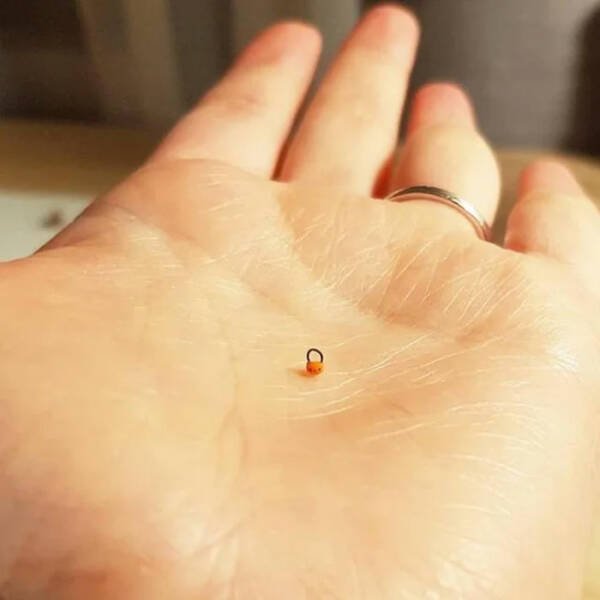 Tiny And Very Cool Things (33 pics)