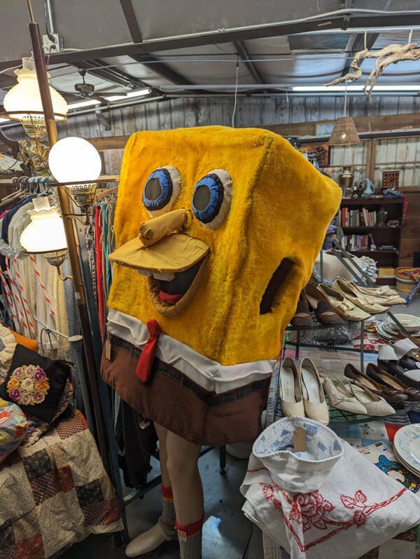 Odd Designs And Finds (51 pics)