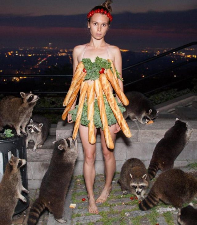 What Is Going On Here? (52 pics)