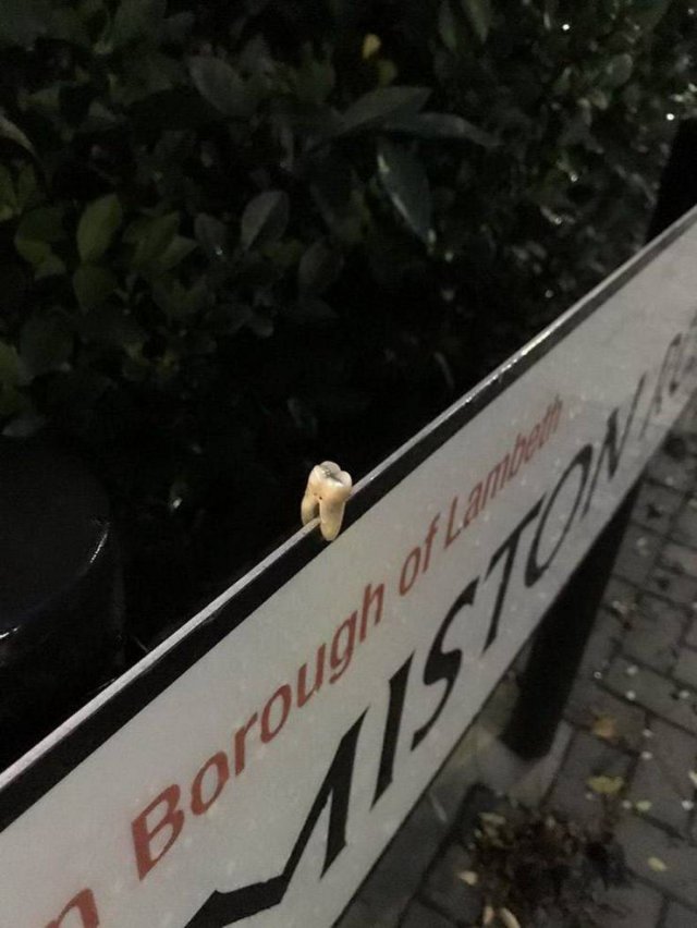 What Is Going On Here? (52 pics)