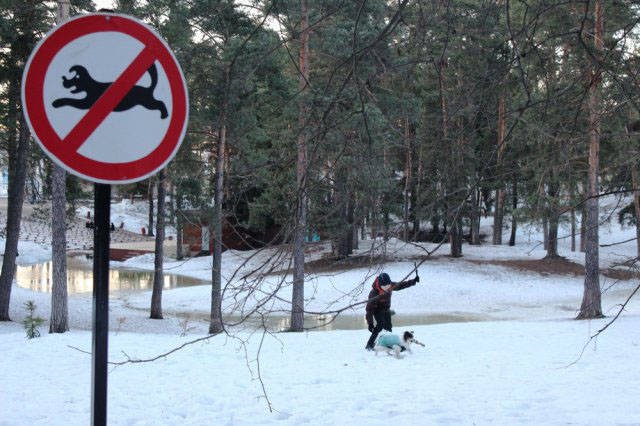 Strange Photos From Russia (40 pics)