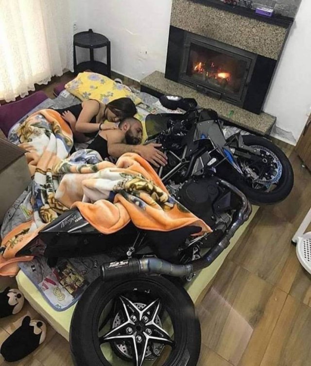 What Is Going On Here? (52 pics)