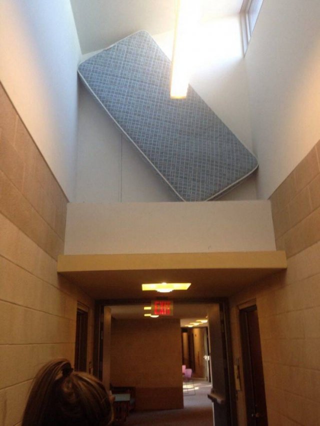 What Is Going On Here? (52 pics)