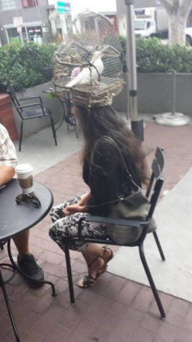 What Is Going On Here? (52 pics)