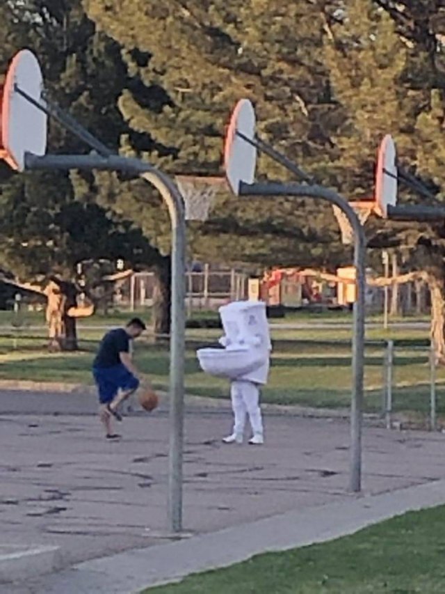 What Is Going On Here? (52 pics)