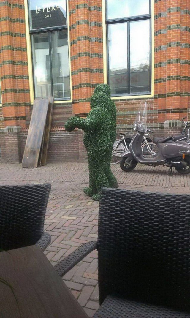 What Is Going On Here? (52 pics)
