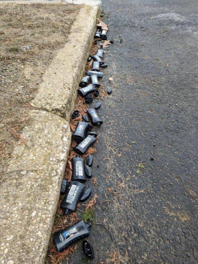 What Is Going On Here? (52 pics)