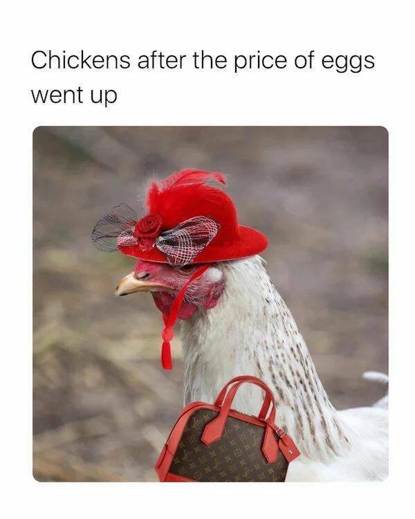 Egg Price Memes (19 pics)