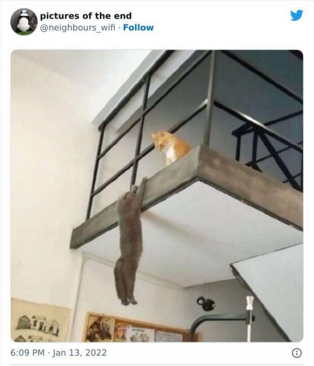 Weird And Funny Finds (46 pics)