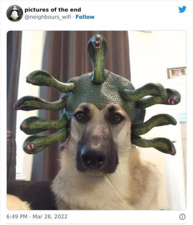 Weird And Funny Finds (46 pics)