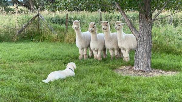 What Is Going On Here? (40 pics)