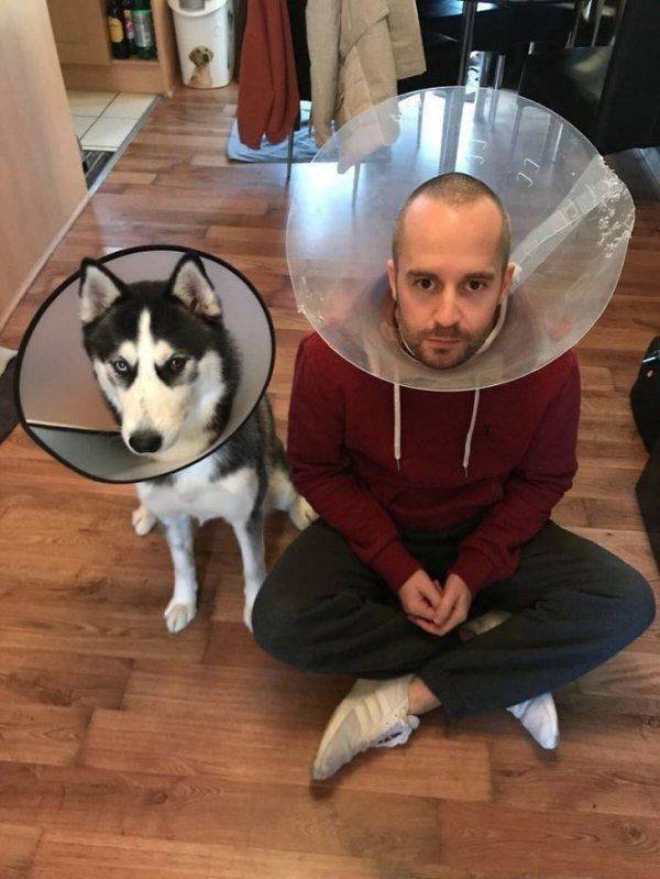 Funny Animals (59 pics)