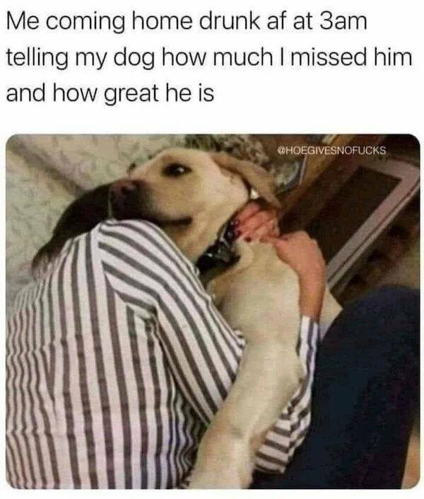 Funny Memes (31 pics)