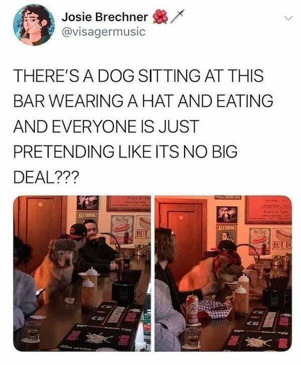 Funny Memes (31 pics)