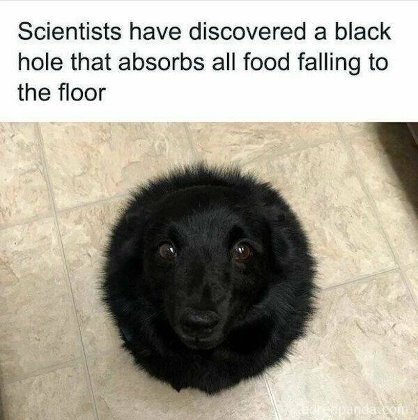 Funny Memes (31 pics)