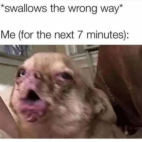 Funny Memes (31 pics)