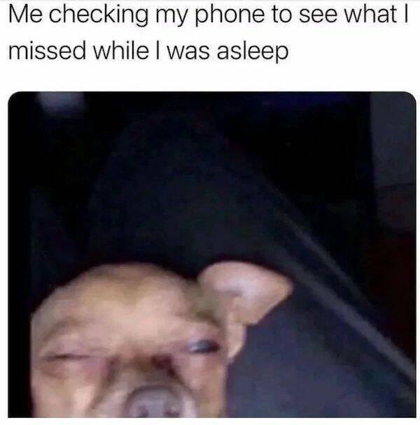 Funny Memes (31 pics)