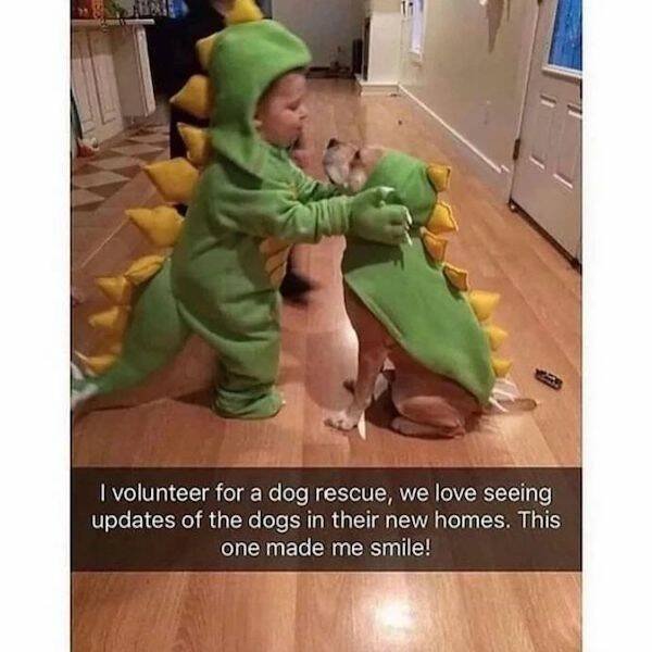 Funny Memes (31 pics)