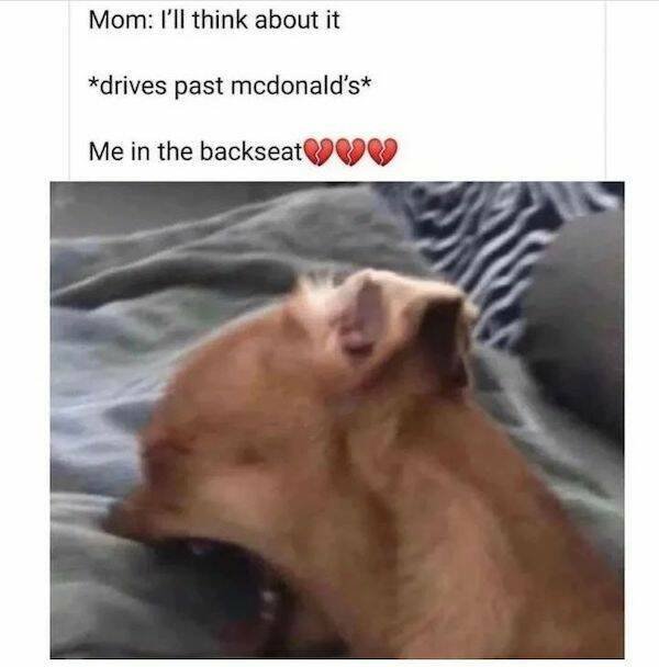 Funny Memes (31 pics)