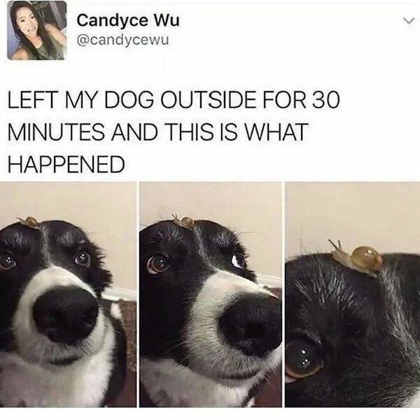 Funny Memes (31 pics)