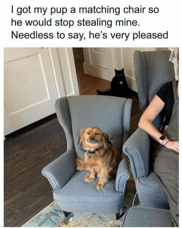 Funny Memes (31 pics)