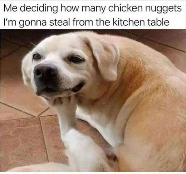 Funny Memes (31 pics)