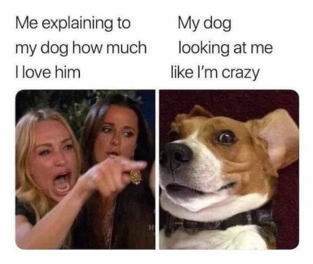 Funny Memes (31 pics)