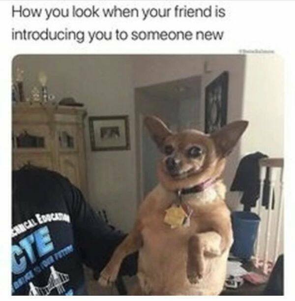 Funny Memes (31 pics)
