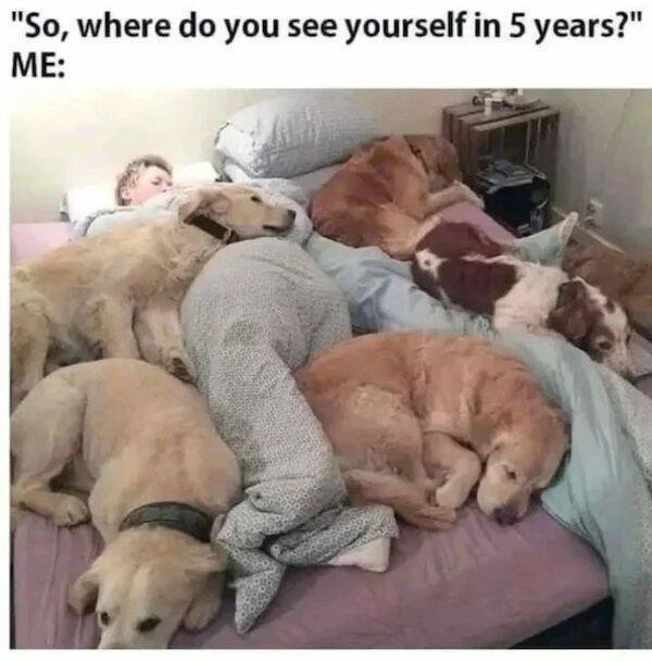 Funny Memes (31 pics)
