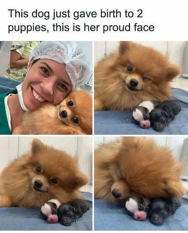 Funny Memes (31 pics)
