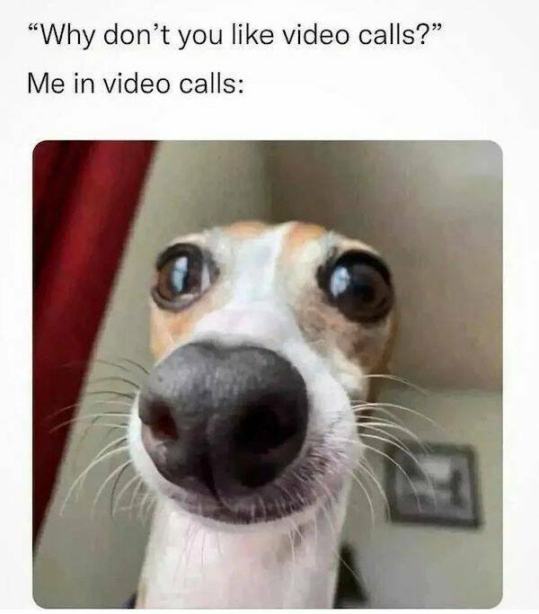 Funny Memes (31 pics)