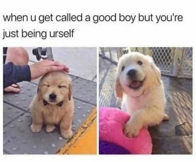Funny Memes (31 pics)