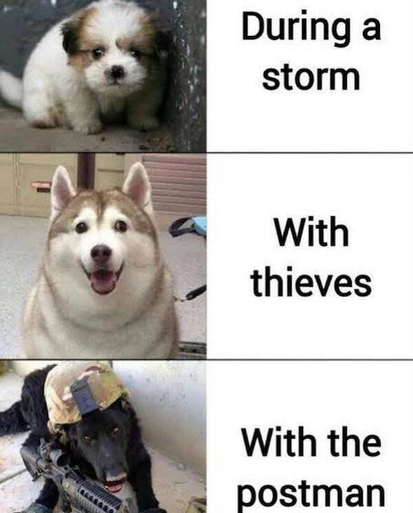 Funny Memes (31 pics)