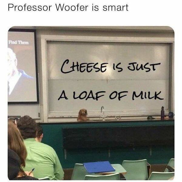 Funny Memes (31 pics)