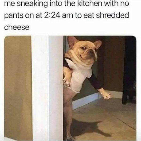 Funny Memes (31 pics)