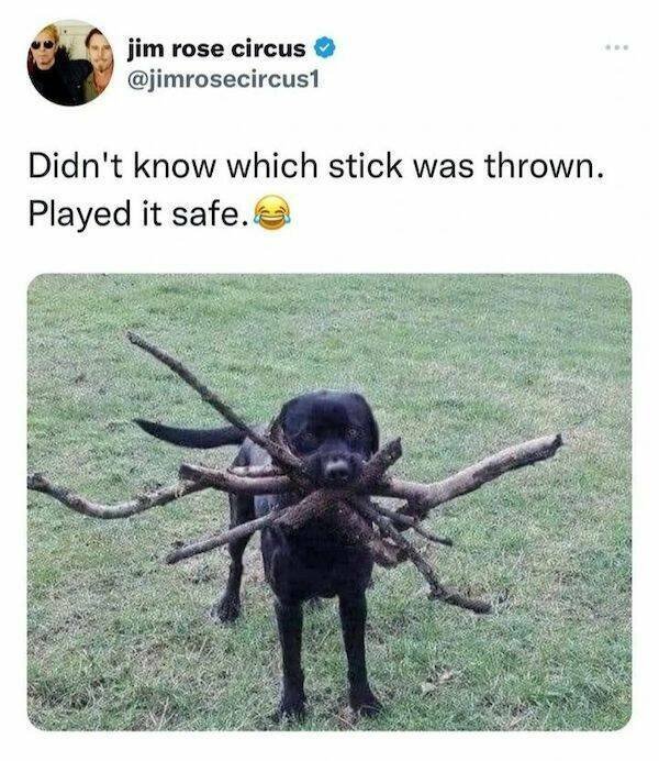 Funny Memes (31 pics)