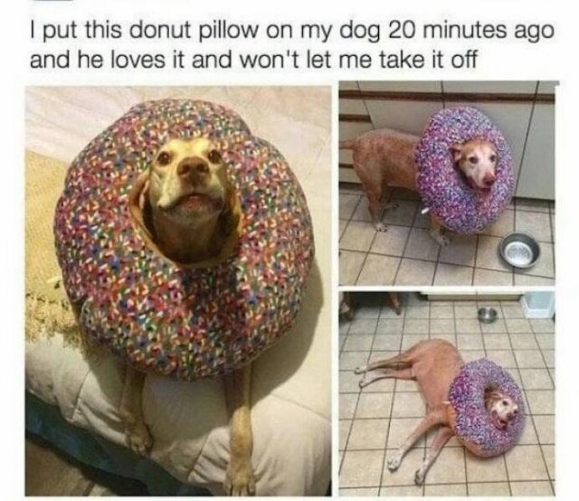 Funny Memes (31 pics)