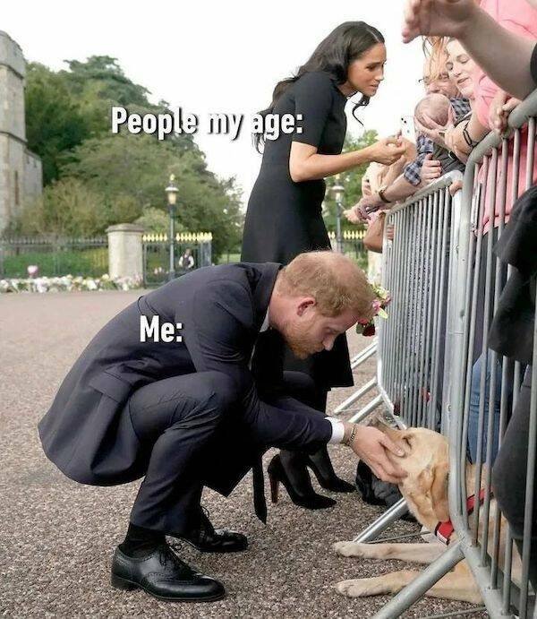 Funny Memes (31 pics)