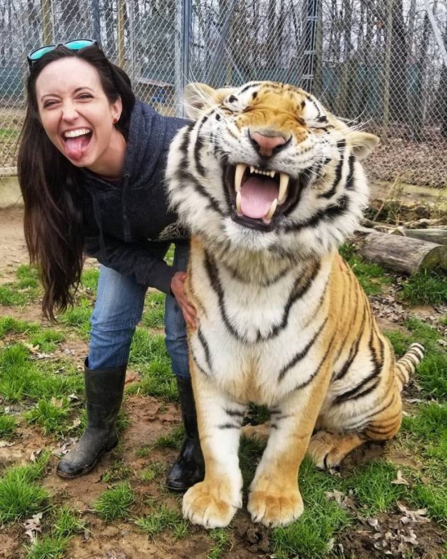 Cute Pets (55 pics)