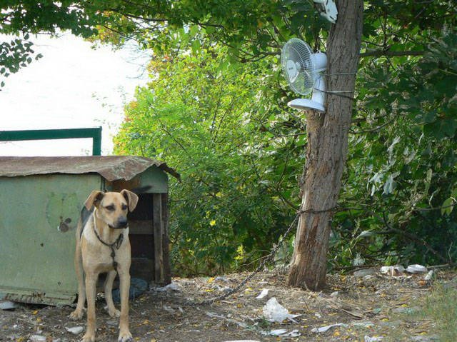 Strange Photos From Russia (40 pics)