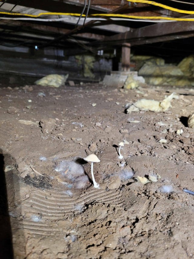 Construction Fails (48 pics)
