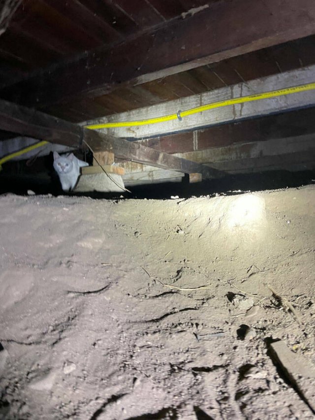 Construction Fails (48 pics)