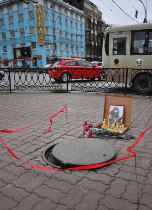What Is Going On Here? (54 pics)