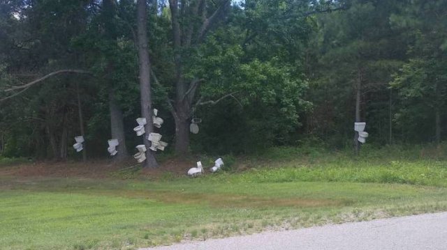 What Is Going On Here? (54 pics)