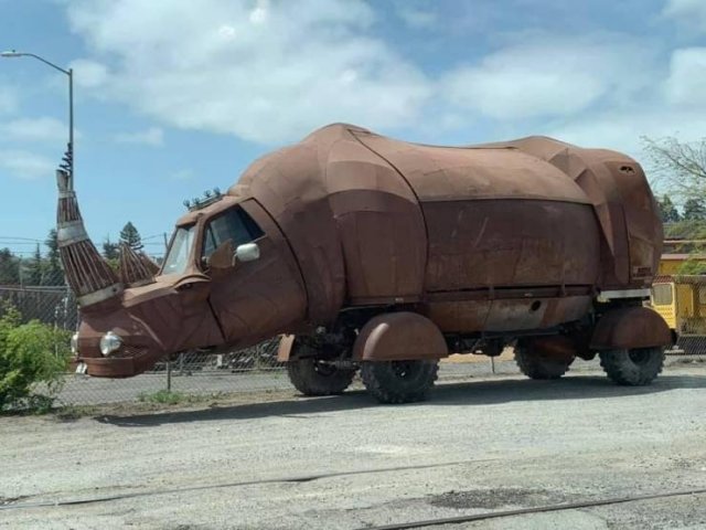 What Is Going On Here? (54 pics)