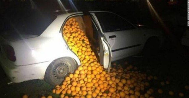What Is Going On Here? (54 pics)
