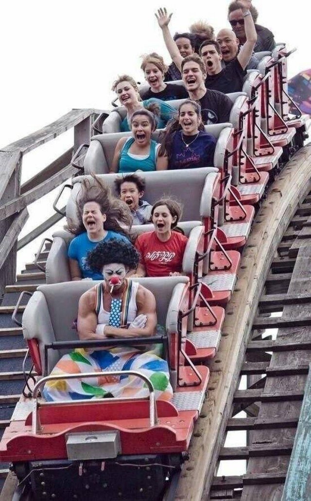 What Is Going On Here? (54 pics)