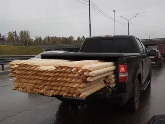 What Is Going On Here? (54 pics)