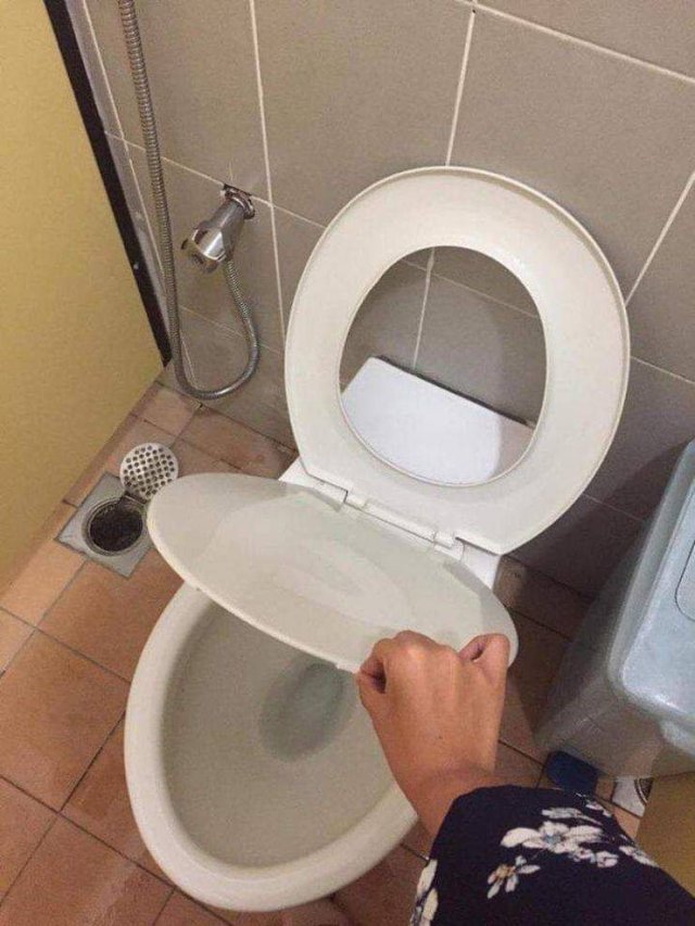 What Is Going On Here? (54 pics)